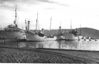 zmaj dalmacija sitnica hvar hrabri nebojša smeli i osvetnik.jpg